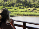 Hippo Bend in Kruger Park